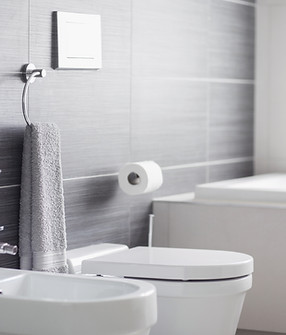 Bathroom Toilet