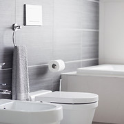 Bathroom Toilet