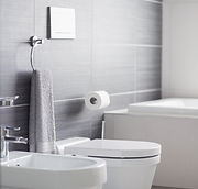Bathroom Toilet