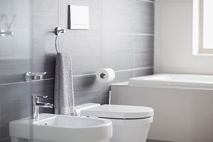 Drop The Mop- Property Landlords cleaning service ofa bathroom