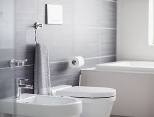Bathroom Toilet