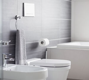 Bathroom Toilet