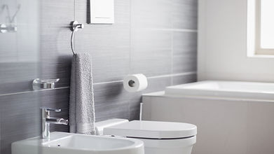 Bathroom Toilet