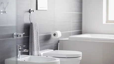 Bathroom Toilet