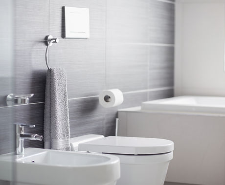 Cuarto de baño WC