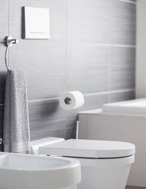 Bathroom Toilet