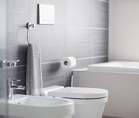 Bathroom Toilet
