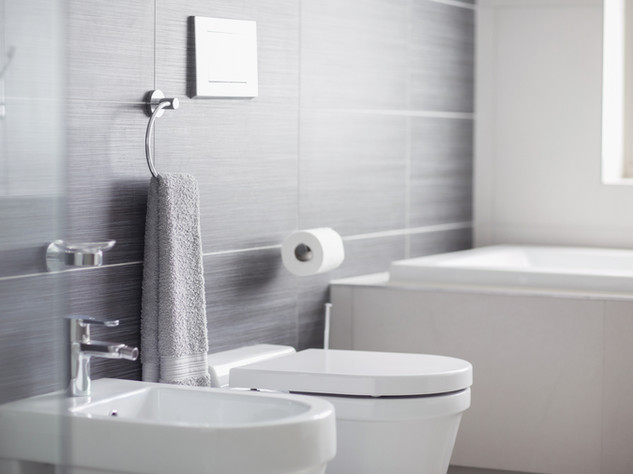 Bathroom Toilet