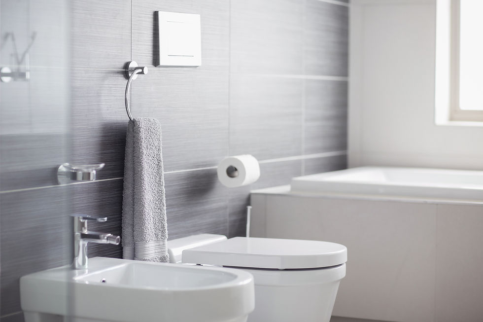 Toilet Repair