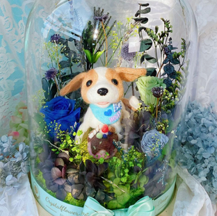 螢幕截圖 2022-05-10 下午3.27.34.png