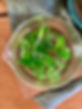 IMG_8710.jpeg