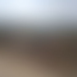 Cleaning Our Area Day-2 (23-11-25)