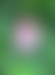 Day 20 of Advent Calendar