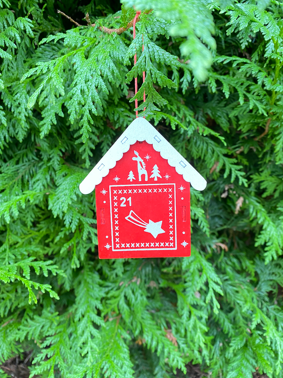 Day 21 of Advent Calendar