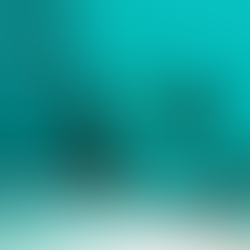 Several ladybugs on a textured teal surface and a white background, scattered in various positions.