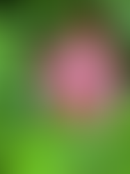 Day 24 of Advent Calendar