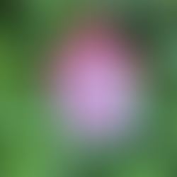 Day 10 of Advent Calendar