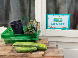 Homeschool Garden Club - Not everything goes to plan in a garden!