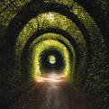 the light at the end of a tunnel