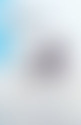 Centric MusicFest 2025