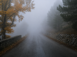 A misty woodland path disappearing into fog, illustrating the uncertainty people face when making commercial decisions.