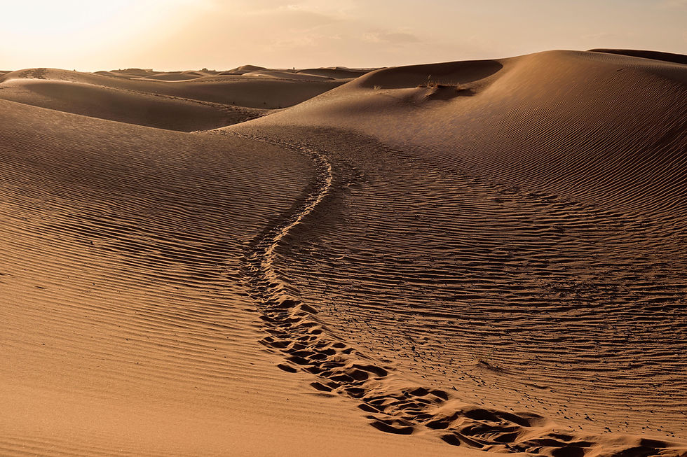 Footsteps crossing sand dunes, representing how commercial acumen develops through experience over time.
