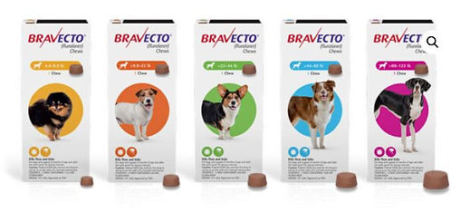 bravecto.JPG