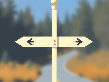 School or Runway? How do I decide?