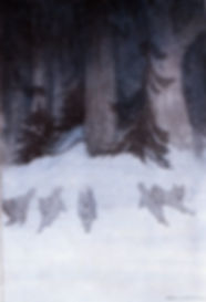 Wolves.jpeg