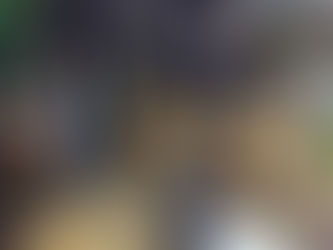 Bruna Marquezine Celebra Aniversário de João Guilherme na Fazenda de Leonardo em Goiás