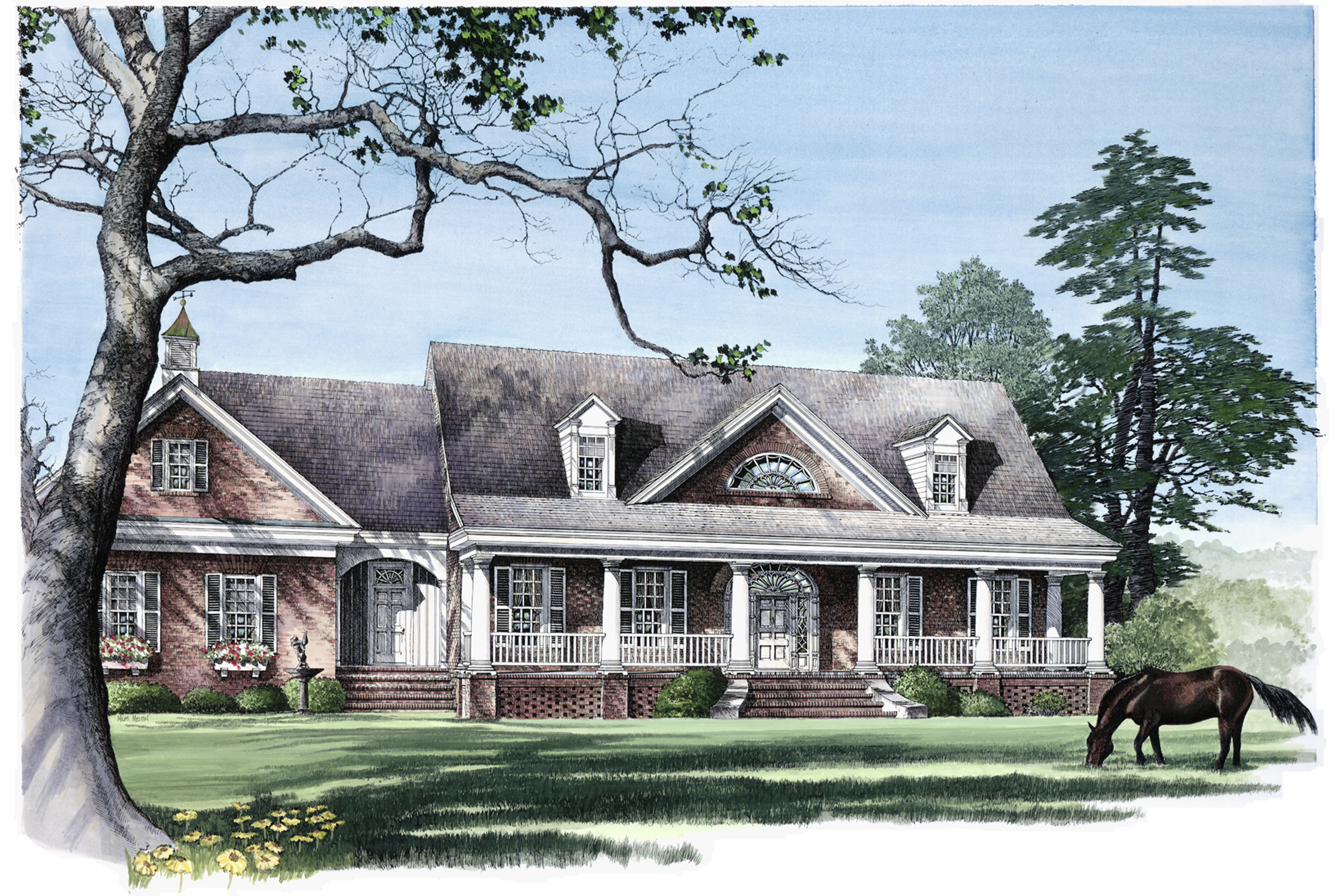 a placeholder image.