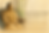 ChatGPT Image Jun 18, 2026, 02_16_44 PM (1).png