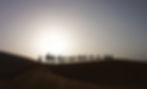698c1401130c2878d370c9f8_camel-caravan-dune-erg-chebbi-morocco-p-1080.jpg