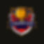 Image of a champion trophy
