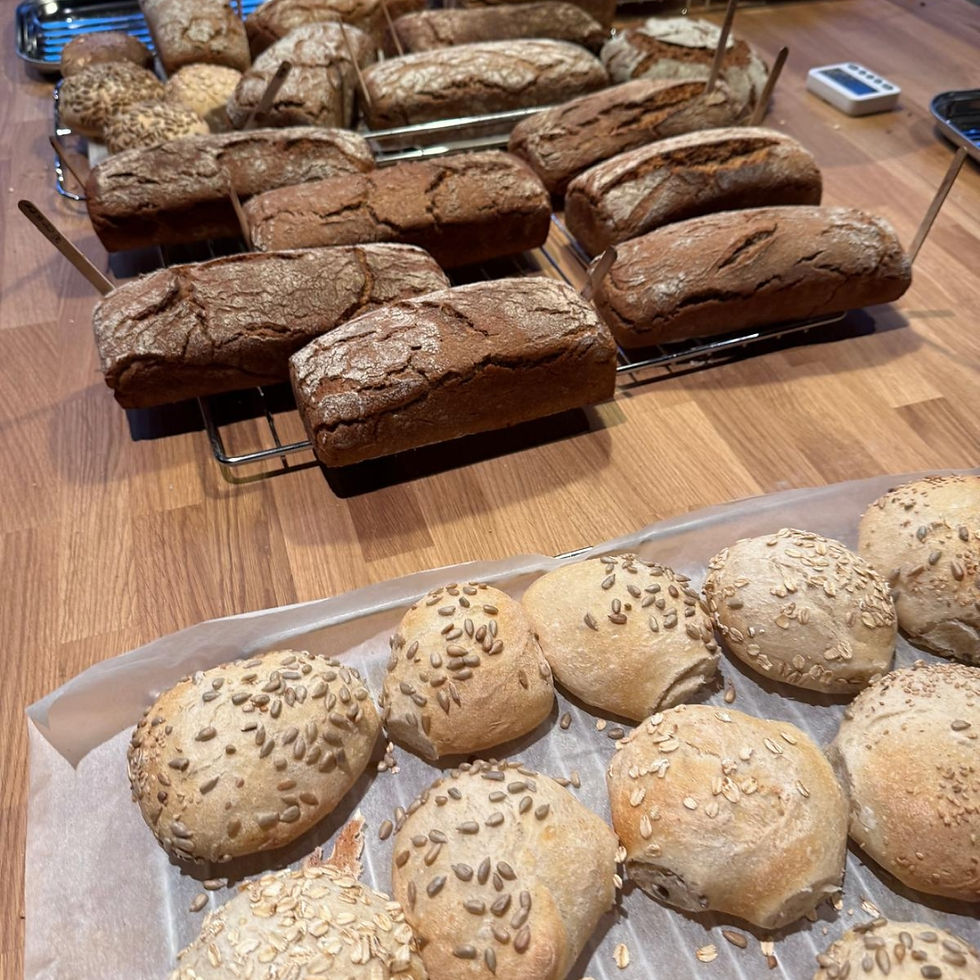 Miniaturbild: Verschiedne Brötchen und Brotsorten die im Backkurs gebacken werden.