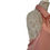 Thumbnail: CARINA SILK TOP