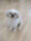 IMG_1038.jpeg