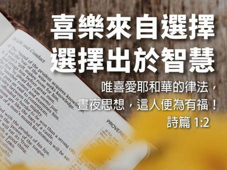 我的指望在乎永生的神