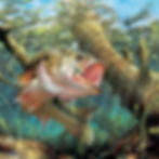 Fall Bass Bash Classic Tournament (Pueblo OCT 11th)