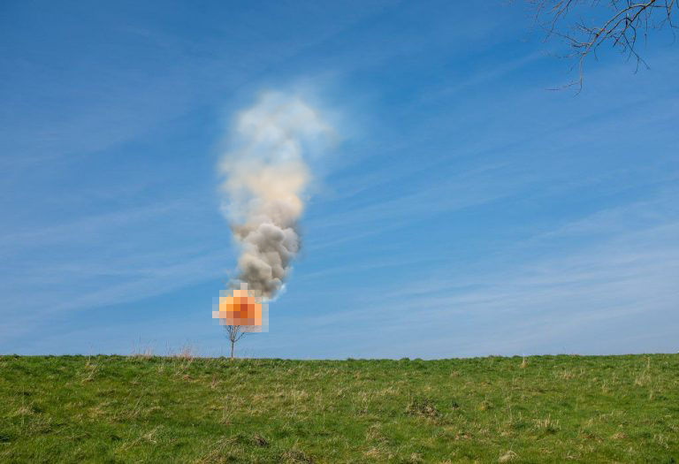 TreeBurn.jpg