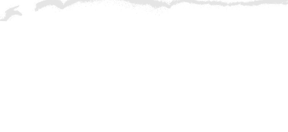 Shinrai Background Section1.jpg