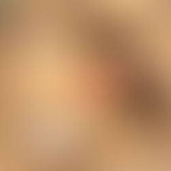 空のお皿の前で不満そうに見上げる柴犬のイラスト