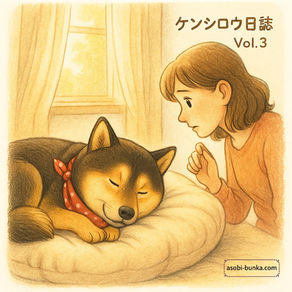 ふかふかのベッドで熟睡する柴犬ケンシロウを、飼い主がそっと見守る様子。柔らかい光が差し込む穏やかな朝の一枚。