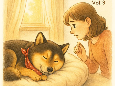 ふかふかのベッドで熟睡する柴犬ケンシロウを、飼い主がそっと見守る様子。柔らかい光が差し込む穏やかな朝の一枚。