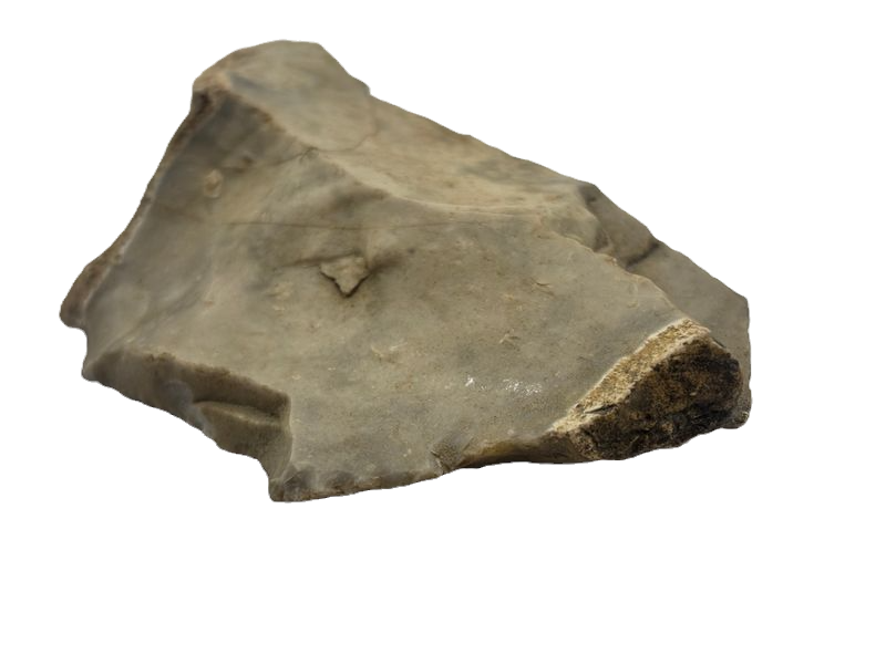 Thumbnail: Worked Flint (Chert) Prehistoric Lithic Tool Fragment