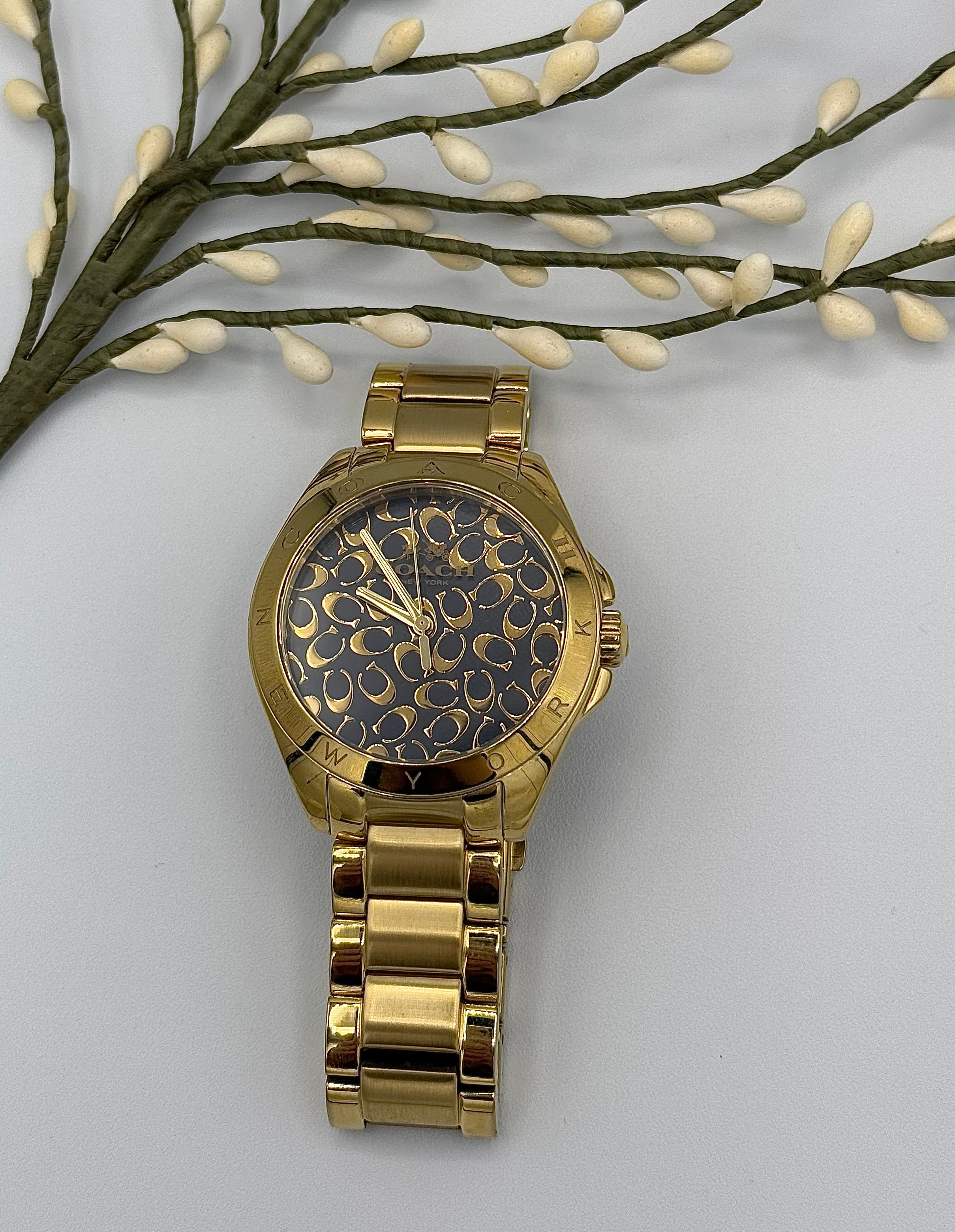 Coach Tristen Signature Ladies Watch