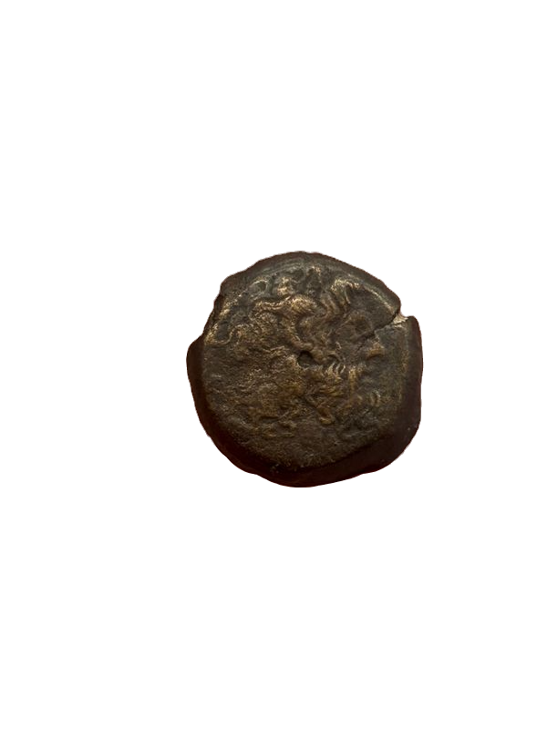 Ancient Greco-Egypt Ptolemaic Kingdom Ptolemy V Coin