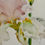 Thumbnail: Pair of Watercolor Flower Iris Paintings by Frederick Bidigare 2005