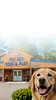 pet-set-stay-and-play-about page-fade-hero-mobile.webp