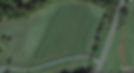 Montifalco Vineyard Barboursville.jpg
